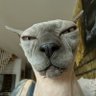 Sokysso profil fotoğrafı