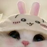มันแกวววววววว 的头像