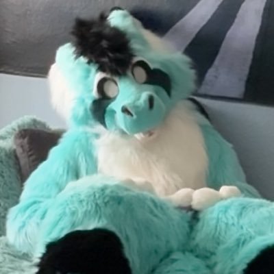 Scarox's profile picture