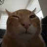 buh's profile picture