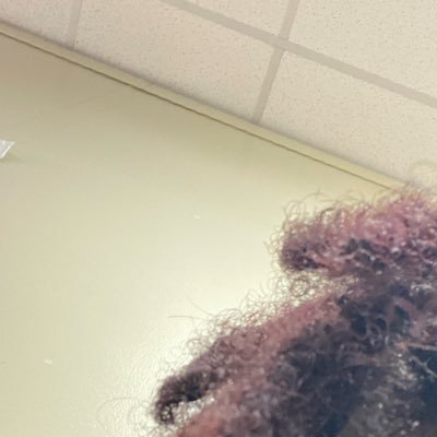 wetstudda's profile picture