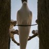 ROMO profil fotoğrafı