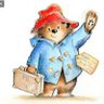 Bear's profile picture