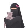 Profilbild von أم القطط