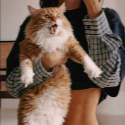e's profile picture