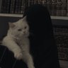 ูุคูุคุฉ's profile picture
