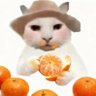𝑂𝑠𝑣 🥞's profile picture