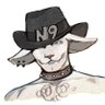 Nein Wulf profil fotoğrafı