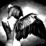 zee's profile picture
