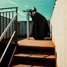 与物据现 profil fotoğrafı