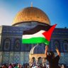 Human❤️🇵🇸's profile picture