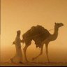 ( عابر سبيل ) profil fotoğrafı