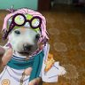 Danielle dice ICE OUT 🇲🇽 profil fotoğrafı