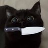 Jailyn's profile picture