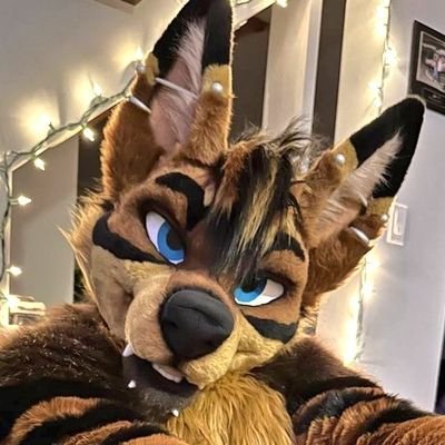 Sp!K3 🌮's profile picture