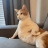 wisadel profil fotoğrafı