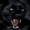 نواف بن فيصل's profile picture