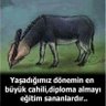 KENANLIDAYI profil fotoğrafı