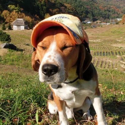 tanada_man's profile picture