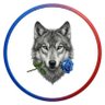Lona🐺's profile picture