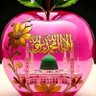 Profilbild von M.hafeez