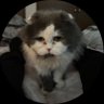 Profilbild von こんごう コクトー　zheng