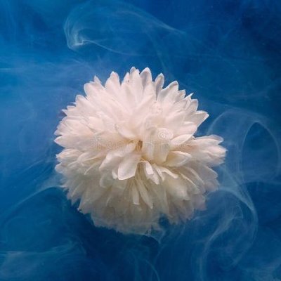 Su Damlası ❄️'s profile picture