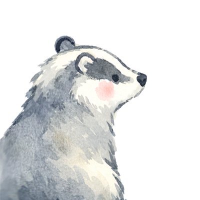 osori's profile picture