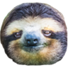 Profilbild von LordSlothyTheFirst