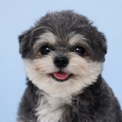 🐷🐨まゆげとこぷた🐨🐷's profile picture