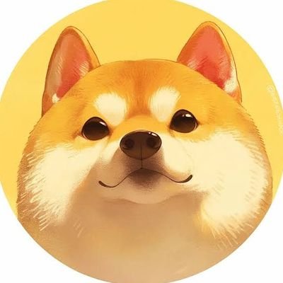 sonnyaonwanko's profile picture