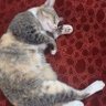 Profilbild von Billy A