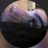 🕊️ profil fotoğrafı