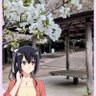 Hiro profil fotoğrafı