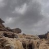 "َســــــــــــفير" 的头像