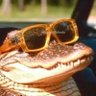 geminianos são os piores seres humanos que existem profil fotoğrafı