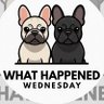 What Happened Wednesday profil fotoğrafı