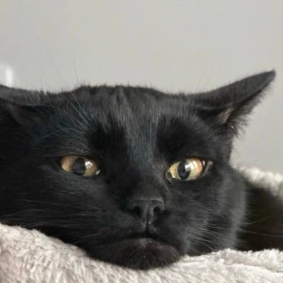 м's profile picture