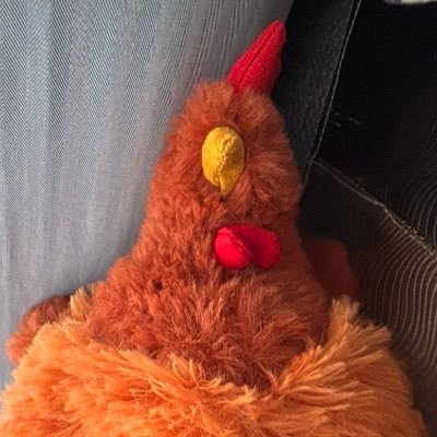 wlrvv's profile picture