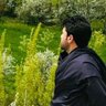 Hamid Mayar 的头像
