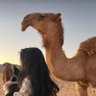 نــوُر's profile picture