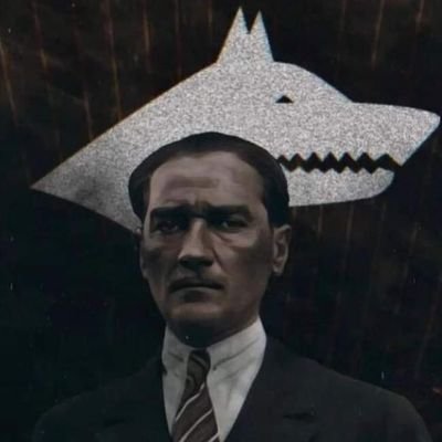 Eylem 𐱅𐰇𐰼𐰰🇹🇷's profile picture