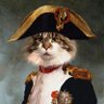 Profilbild von Le Bref 🇫🇷