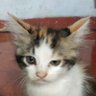 Raa profil fotoğrafı