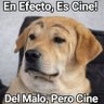 ɢᴜɪʟʟᴇ2510 profil fotoğrafı
