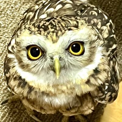 666Takeru's profile picture