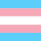 Trans Reinforcement's profile picture