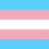 Trans Reinforcement's profile picture