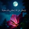 مشاعر غيم profil fotoğrafı