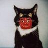 OneM 🐱's profile picture